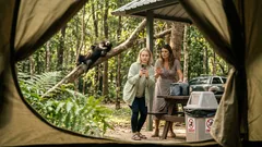 เจอหมีหมา “น้องทุเรียน” พะเนินทุ่ง ถ่ายรูปยังไงให้ปลอดภัยและไม่รบกวนป่า