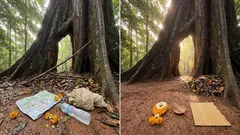 วัดเขาบรรจบ จันทบุรี เดินข้ามสะพานแขวนไปเจอประตูสวรรค์ใต้ต้นสมพงยักษ์